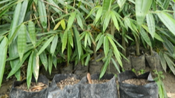 blog images